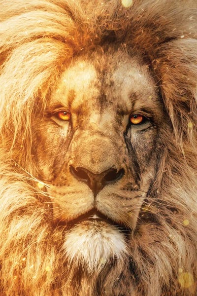 The Spirit Of The Fire Lion