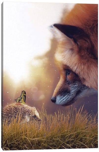 The Hedgehog, The Red Fox And The Yellow Butterfly Canvas Art Print - Fox Art
