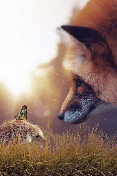 Hedgehogs: The Hedgehog, The Red Fox And The Yellow Butterfly by GEN Z