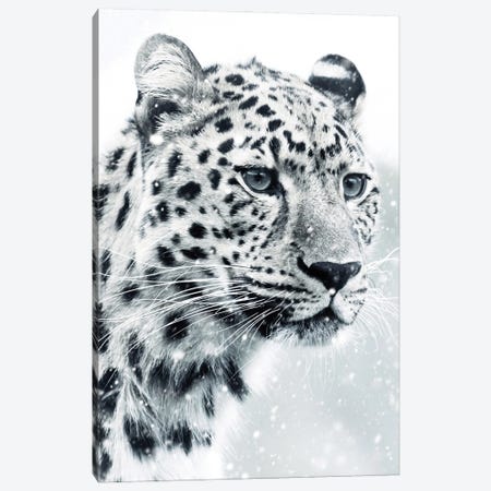 White Snow Leopard Portrait Canvas Print #GEZ264} by GEN Z Canvas Print
