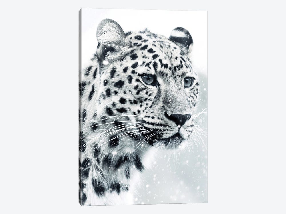 White Snow Leopard Portrait by GEN Z 1-piece Canvas Wall Art