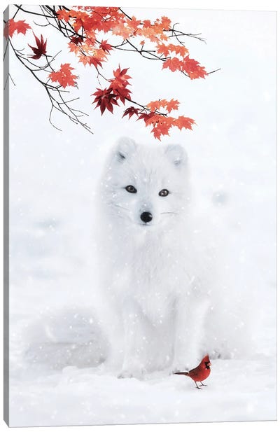 White Fox And Red Cardinal Canvas Art Print