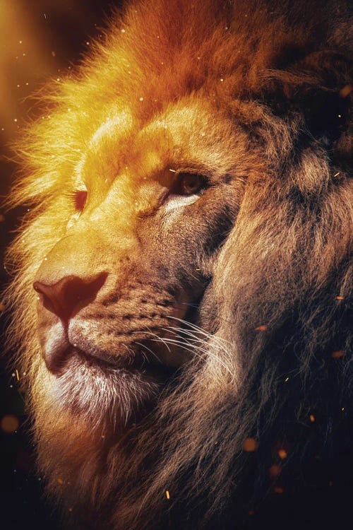 The Spirit Of The Fire Lion King by GEN Z wall art