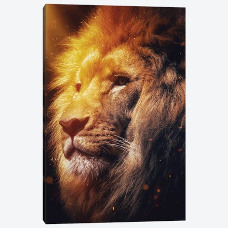 The Spirit Of The Fire Lion King Canvas Print #GEZ268} by GEN Z Canvas Art
