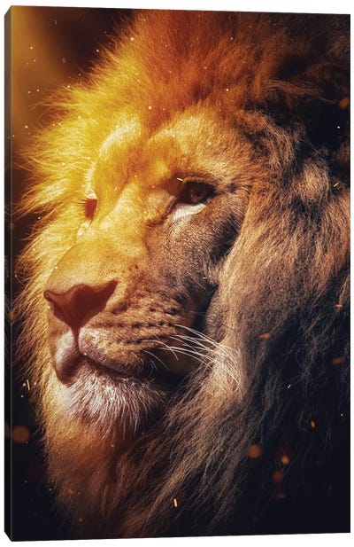 The Spirit Of The Fire Lion King Canvas Art Print - GEN Z