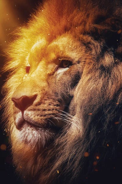 Fine Art Print: The Spirit Of The Fire Lion King by GEN Z