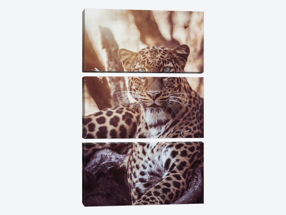 Leopard And Hummingbirds by GEN Z 3-piece Canvas Print