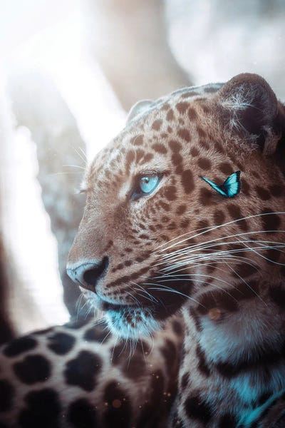 Leopards: Leopard And Blue Butterfly by GEN Z