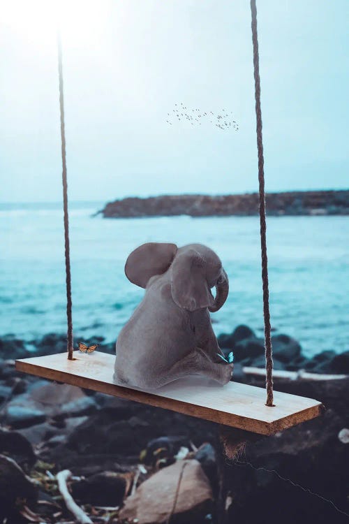 Elephant On Swing Facing The Sea