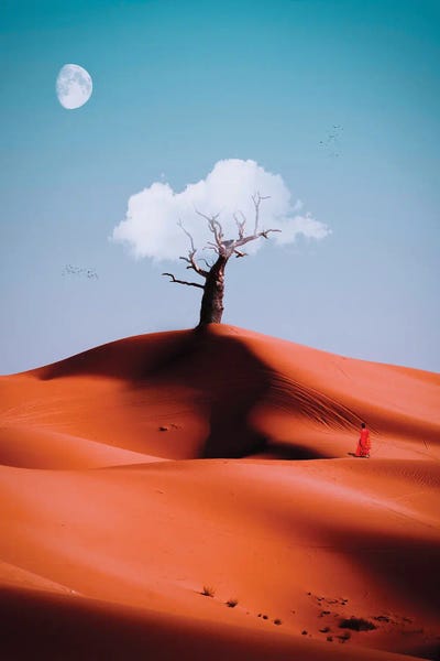 Fantasy Tree Cloud In Red African Desert