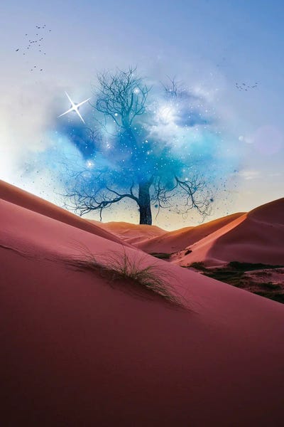 Tree In Desert With Foliage Of The Space by GEN Z framed canvas print