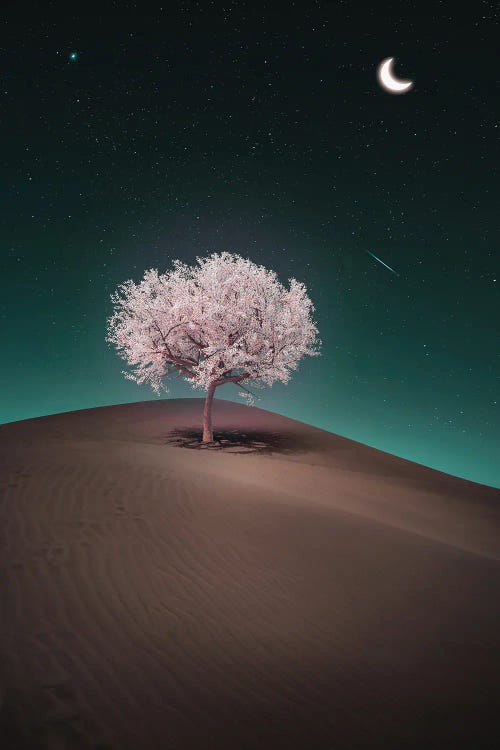 Tree Desert Valley And Crescent Moon