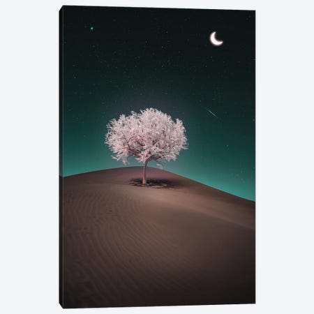 Tree Desert Valley And Crescent Moon Canvas Print #GEZ298} by GEN Z Art Print