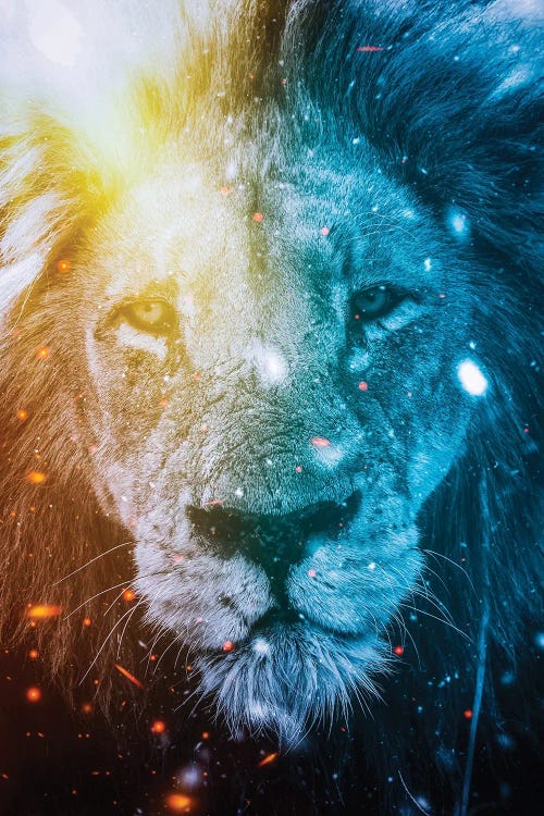 Lion King Of Fire And Ice Elements