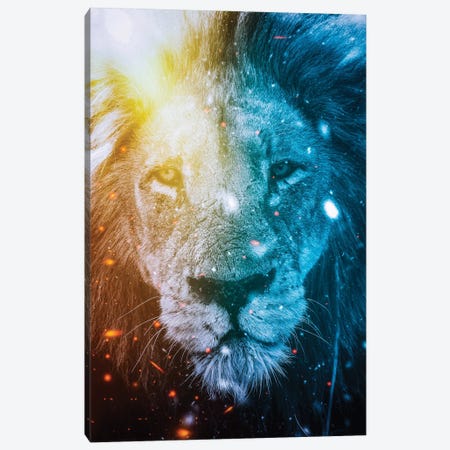Lion King Of Fire And Ice Elements Canvas Print #GEZ300} by GEN Z Canvas Print