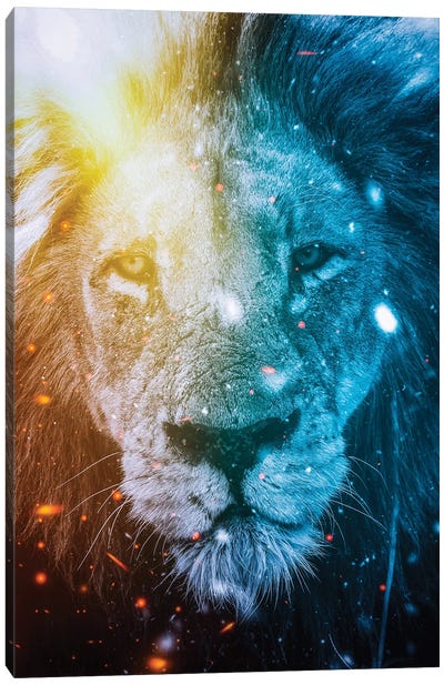 Lion King Of Fire And Ice Elements Canvas Art Print - Fire & Ice