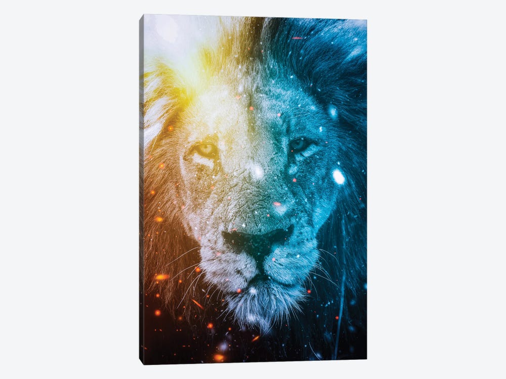 Lion King Of Fire And Ice Elements by GEN Z 1-piece Canvas Art Print