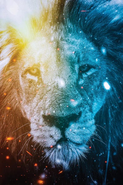 GEN Z: Lion King Of Fire And Ice Elements by GEN Z