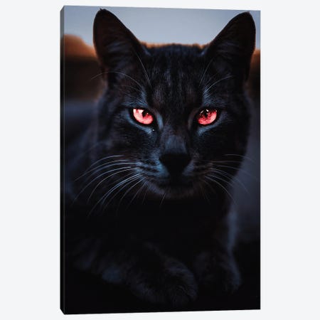Black Cat And Orange Eyes Canvas Print #GEZ303} by GEN Z Canvas Art Print