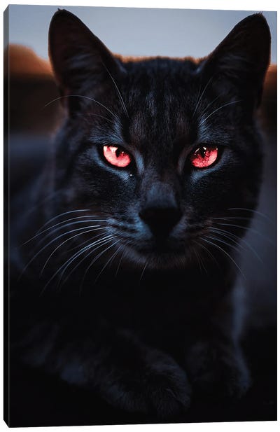 Black Cat And Orange Eyes Canvas Art Print - GEN Z