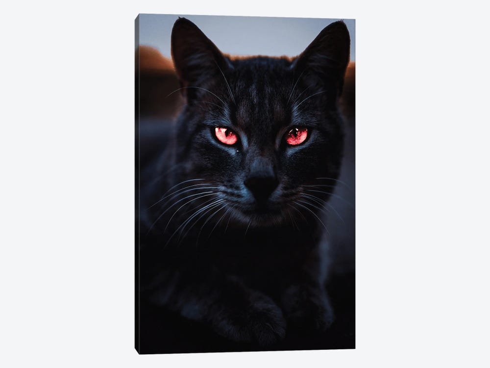 Black Cat And Orange Eyes by GEN Z 1-piece Canvas Art