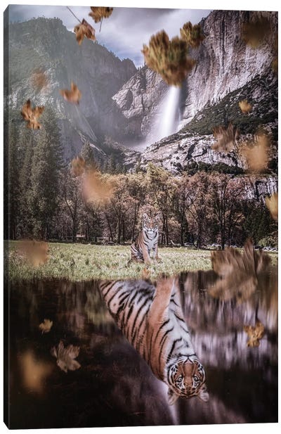 Autumn Baby Tiger Reflection In River Canvas Art Print - Through The Looking Glass