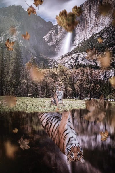 GEN Z: Autumn Baby Tiger Reflection In River by GEN Z