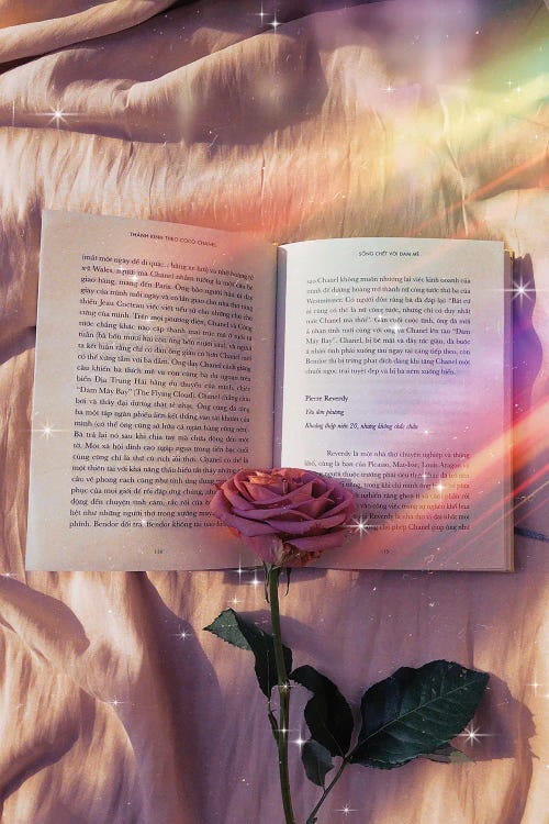 Rose And Literature Aesthetic Rainbow