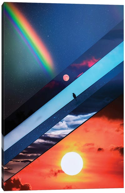 Different Skies In The Sky Canvas Art Print