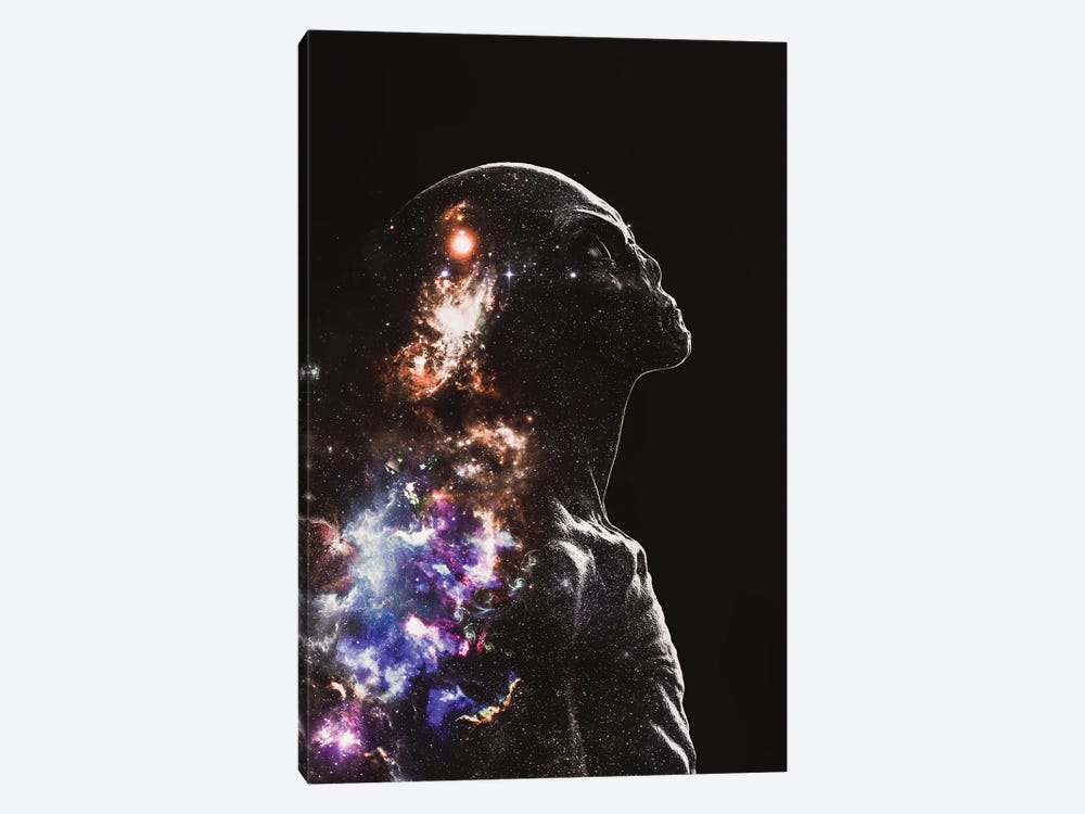 Alien Master Of The Universe And Stars by GEN Z 1-piece Canvas Wall Art