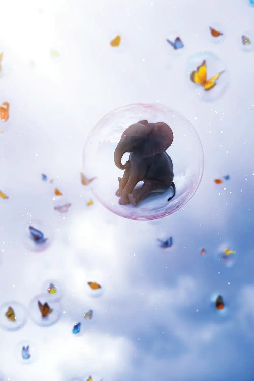 Baby Elephant In Bubble With Butterflies In Sky