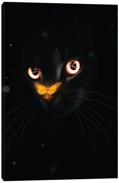 Orange Butterfly And Black Cat Canvas Art Print - Monarch Metamorphosis