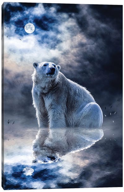 Polar Bear Water Reflection Canvas Art Print - Polar Bear Art