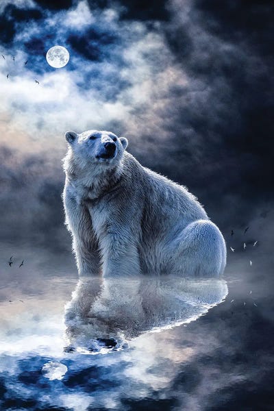 Polar Bears: Polar Bear Water Reflection by GEN Z