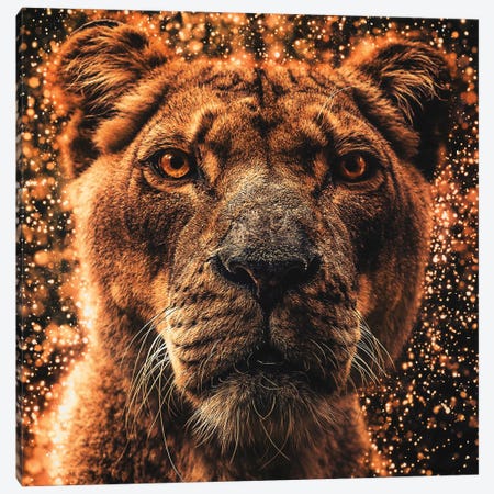 The Lioness With The Heart Of Gold Canvas Print #GEZ324} by GEN Z Canvas Artwork