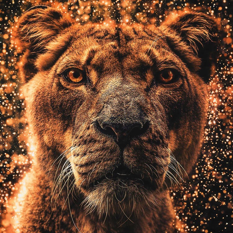 The Lioness With The Heart Of Gold