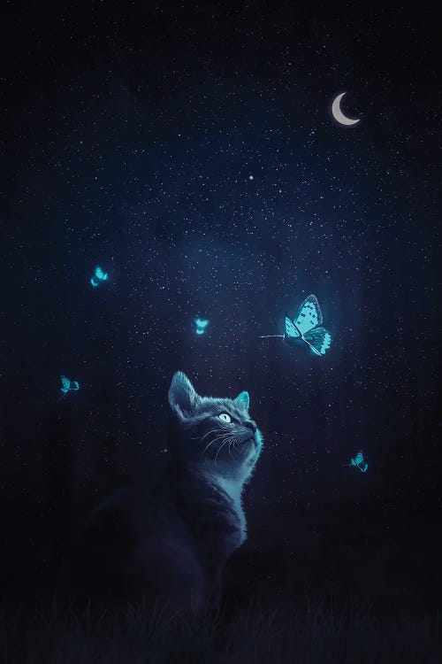 Cat And Blue Butterflies Fantasy