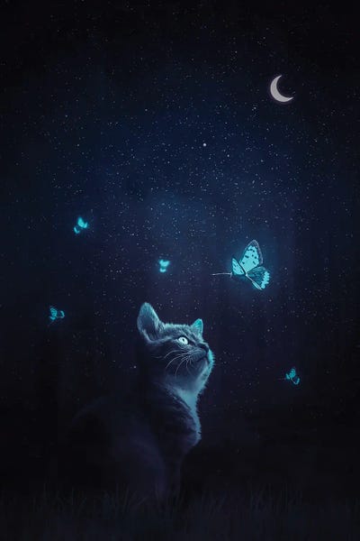 Cat And Blue Butterflies Fantasy