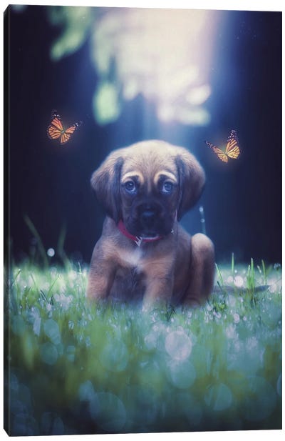 Cute Dog With Orange Butterflies Canvas Art Print - GEN Z