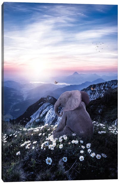 Baby Elephant Sitting In Flowers Field Looking Mountains Canvas Art Print - Reclaimed by Nature