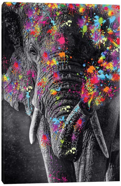 Elephant And Color Paints Canvas Art Print - GEN Z
