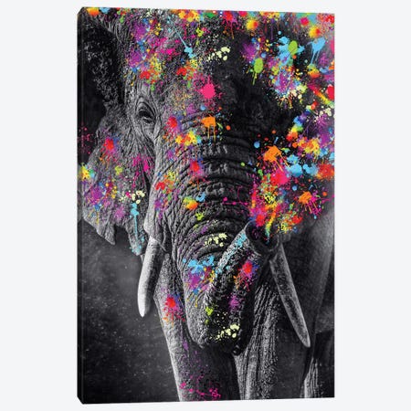 Elephant And Color Paints Canvas Print #GEZ333} by GEN Z Canvas Artwork