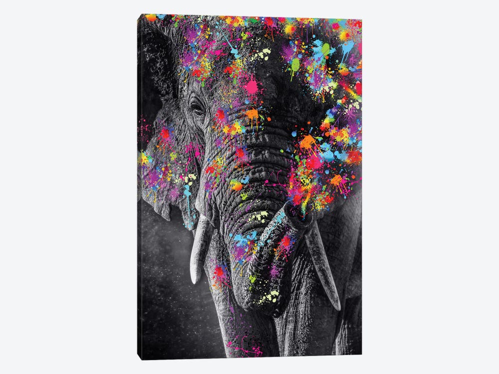 Elephant And Color Paints by GEN Z 1-piece Art Print