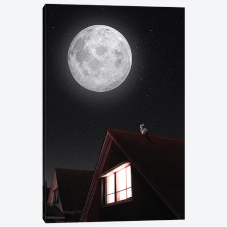 Cat On A Roof And Full Moon Canvas Print #GEZ336} by GEN Z Canvas Print