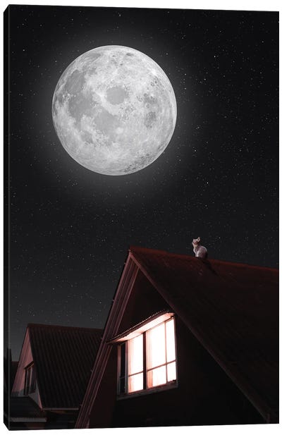 Cat On A Roof And Full Moon Canvas Art Print - GEN Z