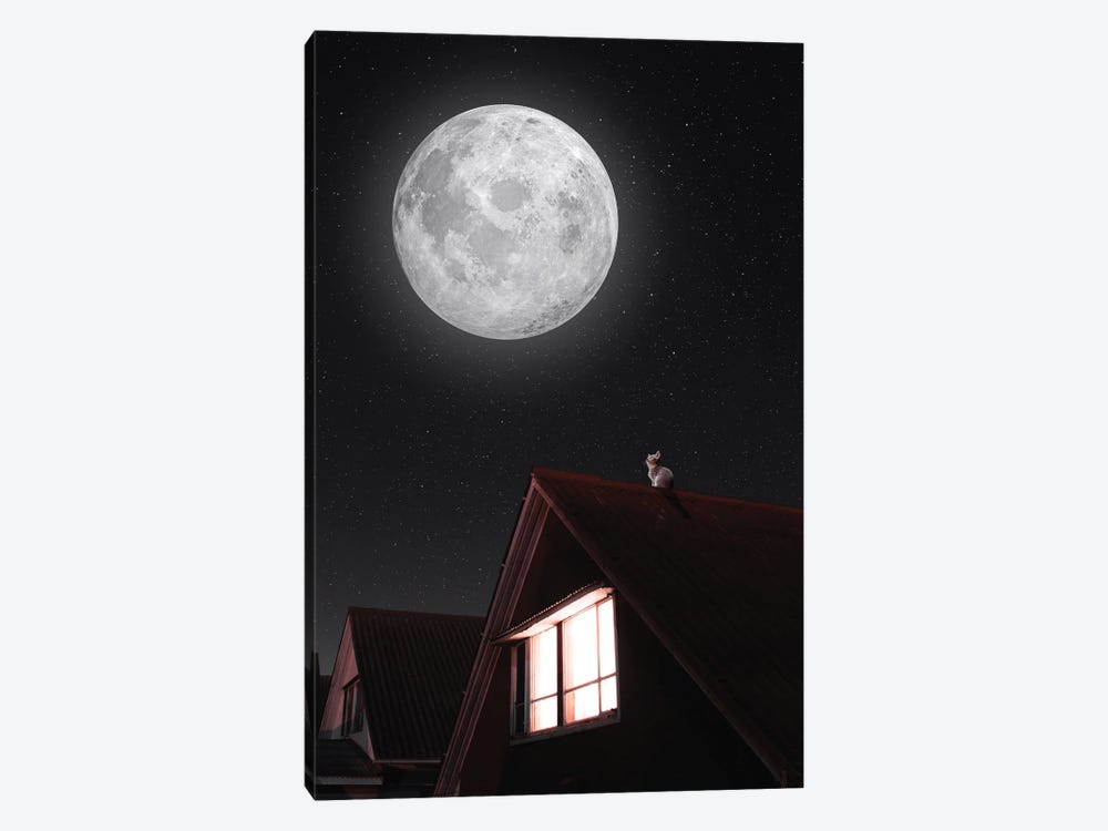 Cat On A Roof And Full Moon by GEN Z 1-piece Canvas Art
