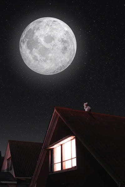 GEN Z: Cat On A Roof And Full Moon by GEN Z