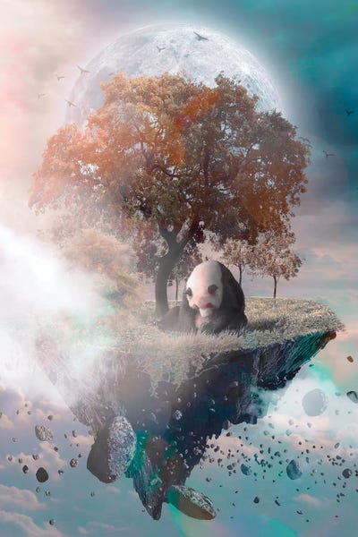 Pandas: Panda On Floating Island by GEN Z