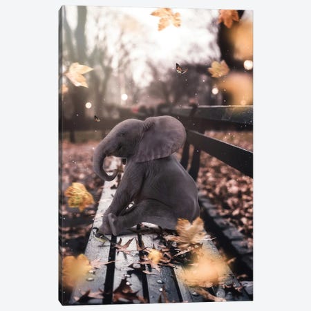 Baby Elephant Sitting On A Bench In Autumn Canvas Print #GEZ33} by GEN Z Canvas Wall Art