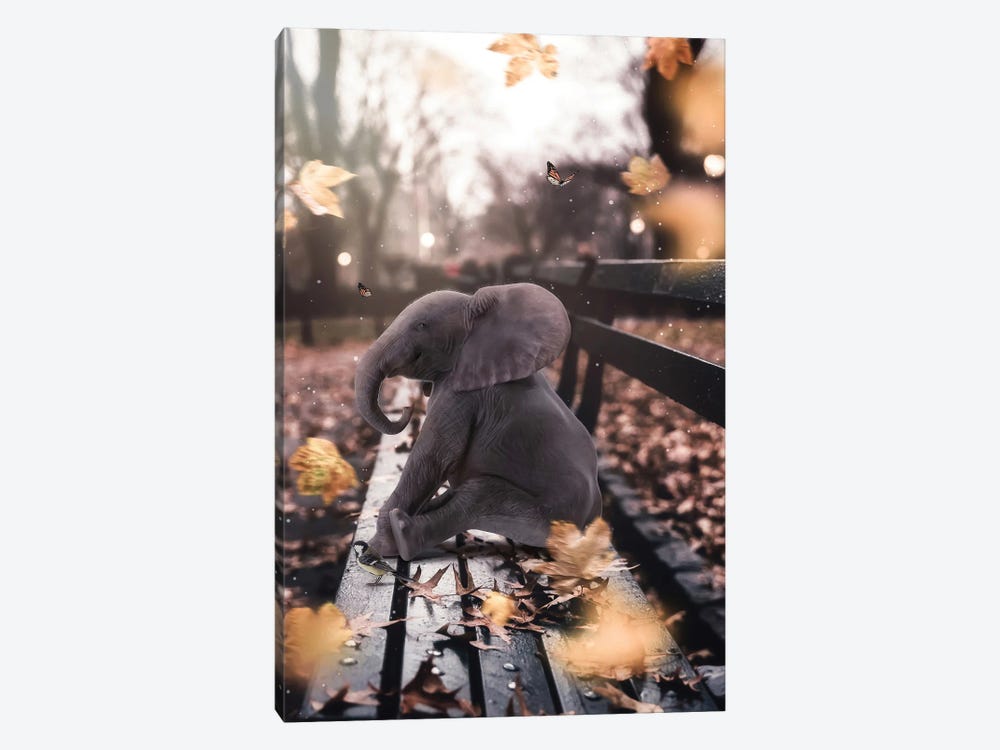 Baby Elephant Sitting On A Bench In Autumn by GEN Z 1-piece Canvas Art